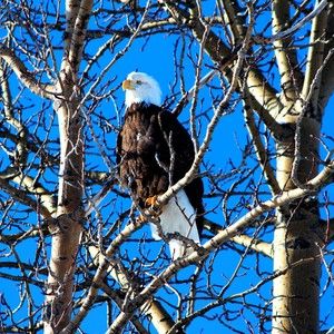 Meet your Posher, Michele